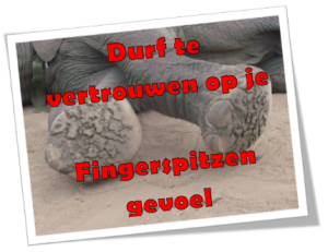 Lessen van de Olifant