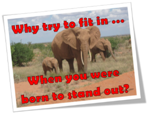 Why try to fit in when you were born to stand out